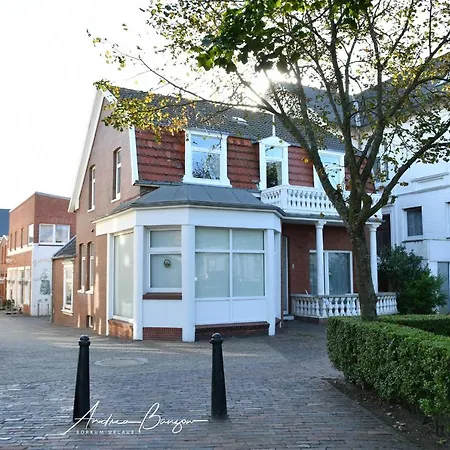 Schnieders-muschel Borkum